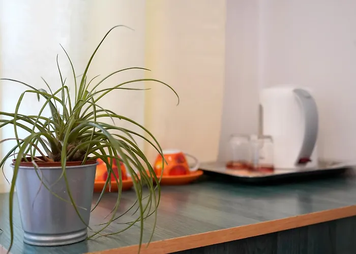 Vandrerhjem Dom Studencki Zodiak Wrocław